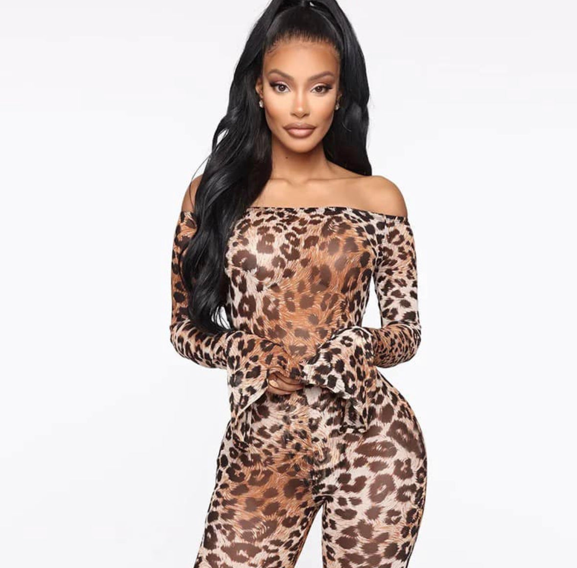 All This Cat Set